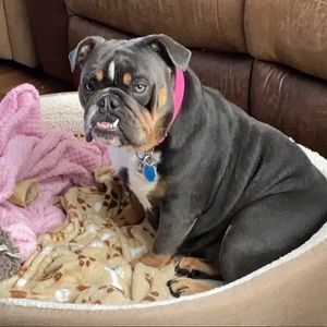 Meet your Posher, Miguel